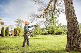 Best Tree Removal  in Landisville, PA